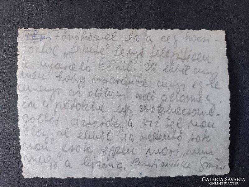 Régi fotó -Férfiak egy VW Transporter mellett – 1950-es évek feketefenyő ültetésen