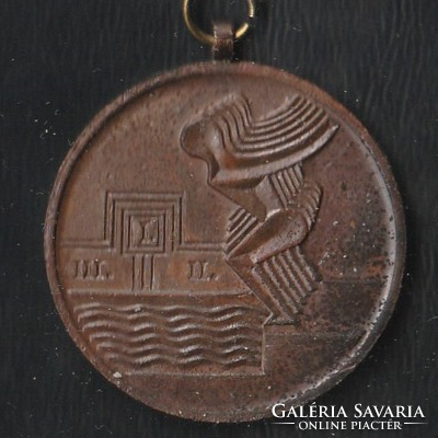 Úszó gyermekbajnokság érme bronz.