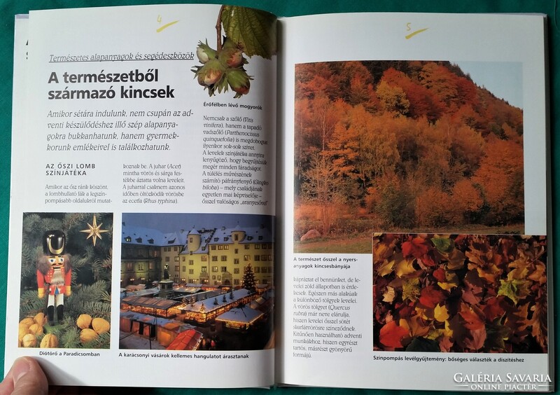 H. Linse: Adventi díszek a természet kincseiből > Hobbi > Kézművesség, barkácsolás
