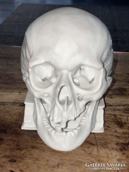 Herendi porcelán koponya