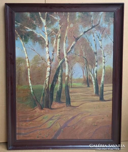 100x75 cm + keret! Pammer János: Erdőrészlet nyírfákkal (nagy méretű olajfestmény) Erdei tájkép