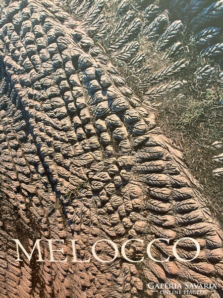 Melocco Miklós dedikált könyve