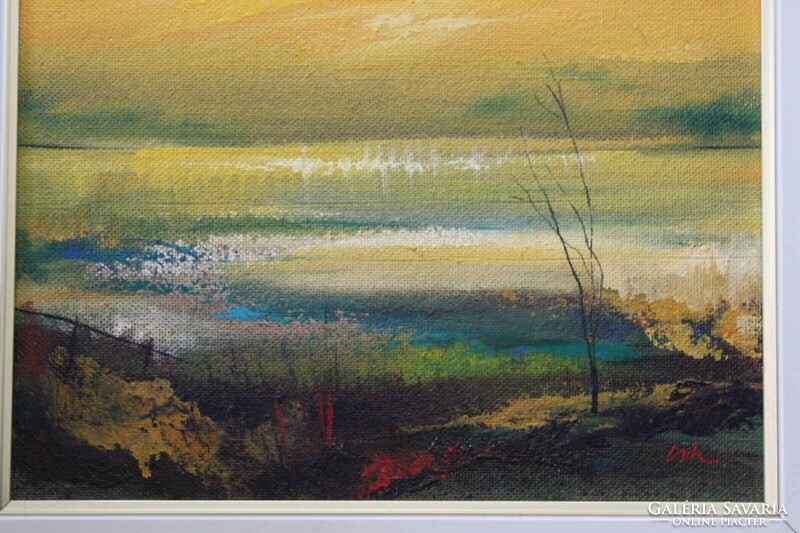 Csuta György -köröspart