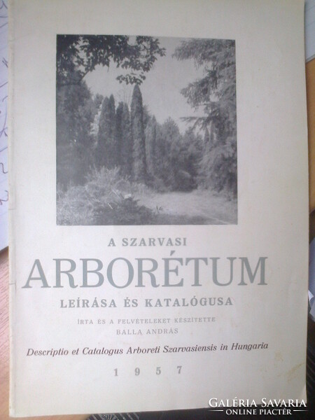 A szarvasi arborétum 1957