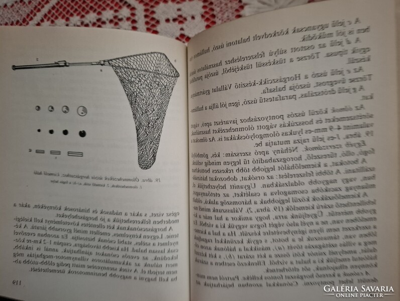 A ponty és horgászata ( MOHOSZ   1980.)