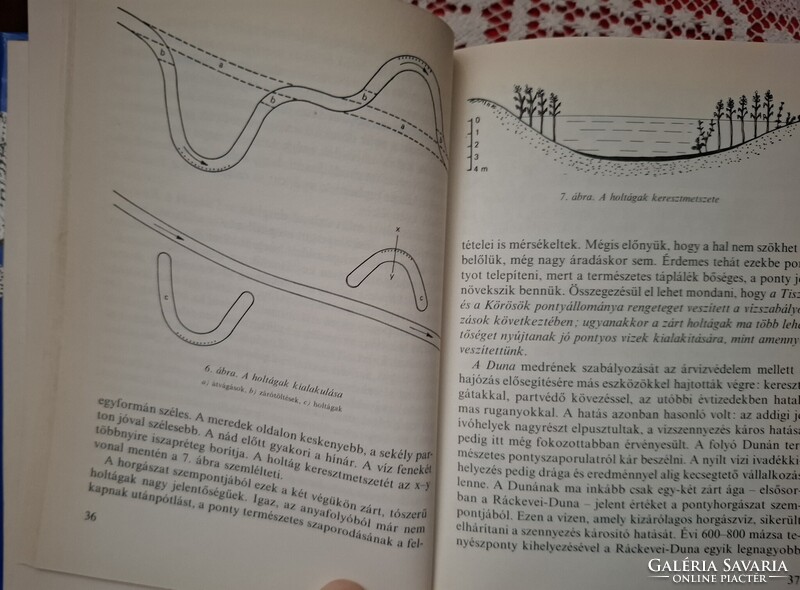 A ponty és horgászata ( MOHOSZ   1980.)