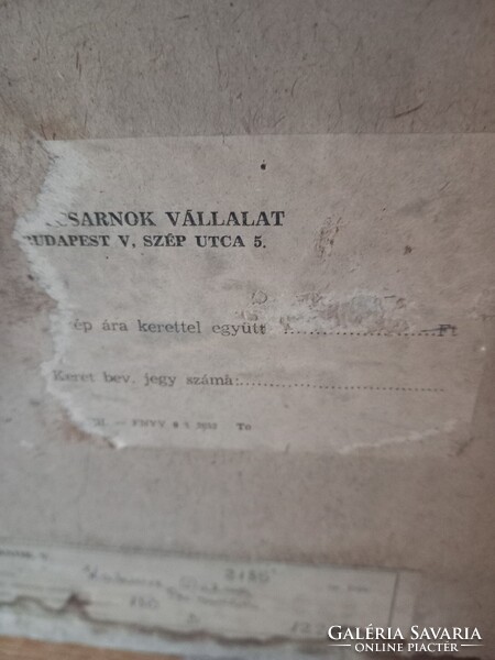 Kakusz Dalma: Primula képcsarnokos