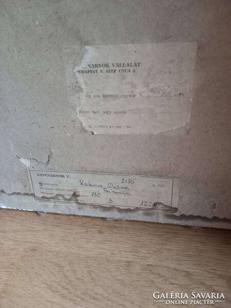 Kakusz Dalma: Primula képcsarnokos