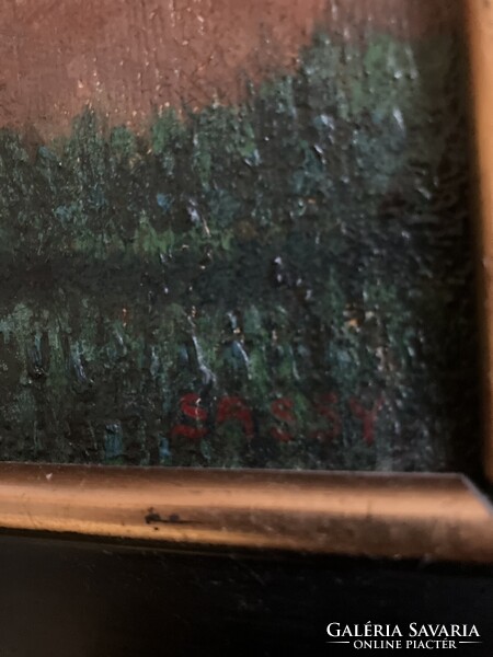 Sassy Attila: Nagybányai öreg házak 251204