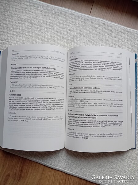 Hargitai József-A diplomáciai és konzuli kapcsolatok joga