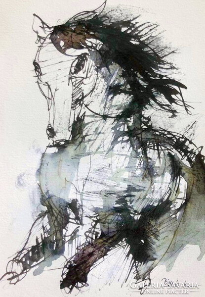 Gyönyörű lóportré. .Ink art by Konrad Biro. Egy hét-egy esély! Ne hagyd ki !