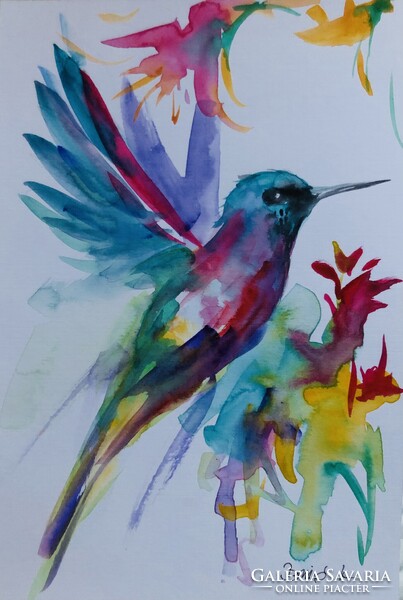 Kolibri sorozat art by Konrad Biro. Gyönyörű akvarell illusztráció. Egy hét-egy esély !