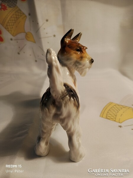 Antik Ens porcelán kutya