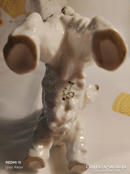 Antik Ens porcelán kutya