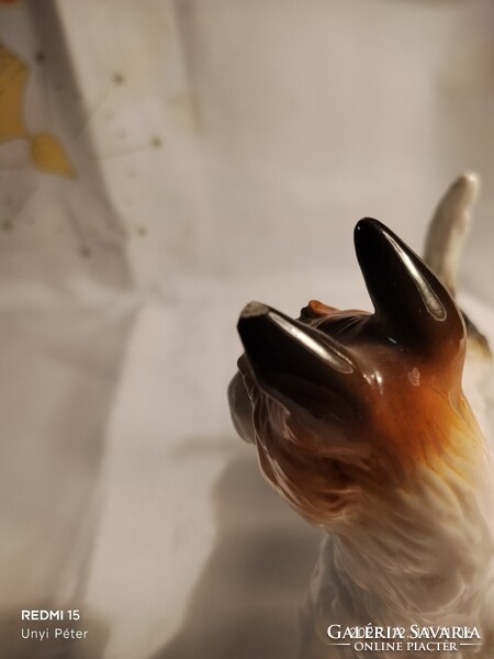 Antik Ens porcelán kutya
