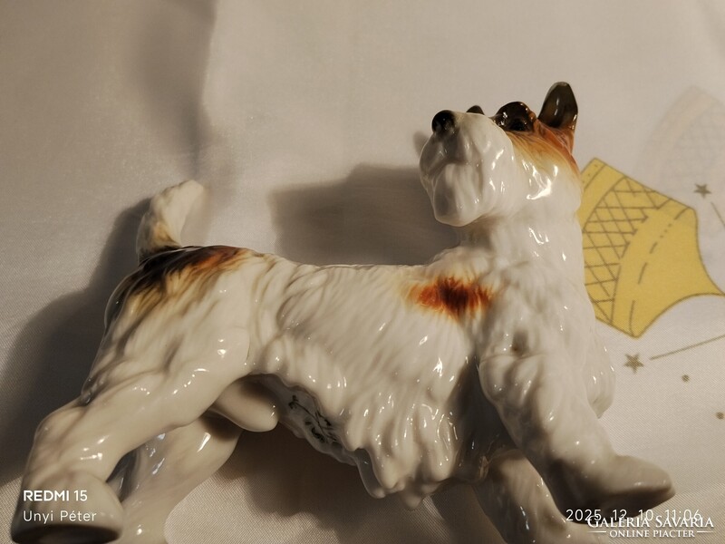Antik Ens porcelán kutya