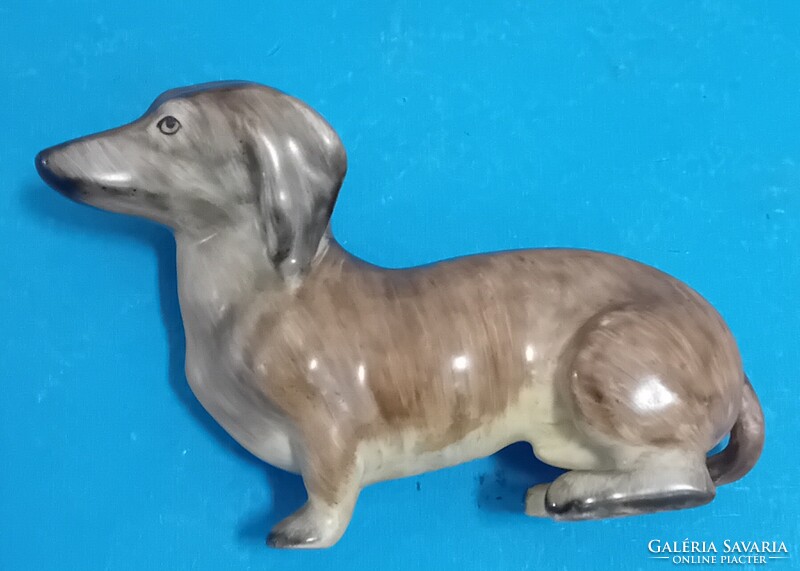 Aquincumi tacskó kutya