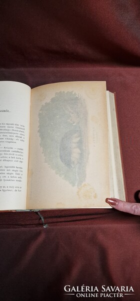 Herman Ottó: Az északi madárhegyek tájáról (1893) – Első kiadás, ritka nemesi ex librisszel
