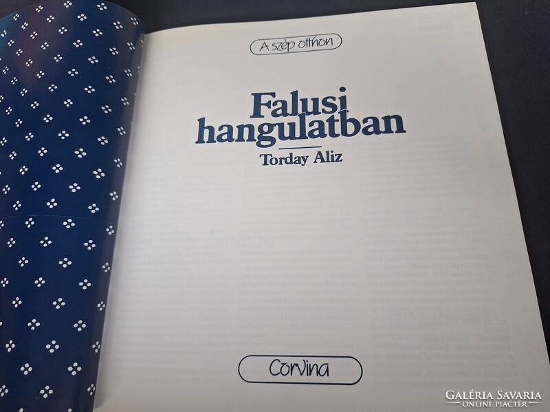 Torday Aliz: Falusi ​hangulatban.  950.-Ft