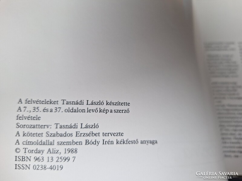 Torday Aliz: Falusi ​hangulatban.  950.-Ft