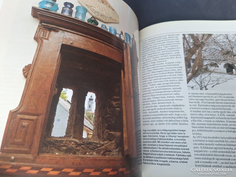 Torday Aliz: Falusi ​hangulatban.  950.-Ft