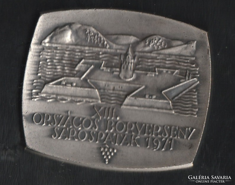 XIII . Országos Borverseny Sárospatak. 1971