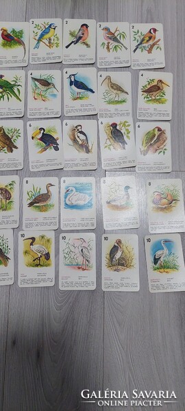 Retro Madárkvartett kártya