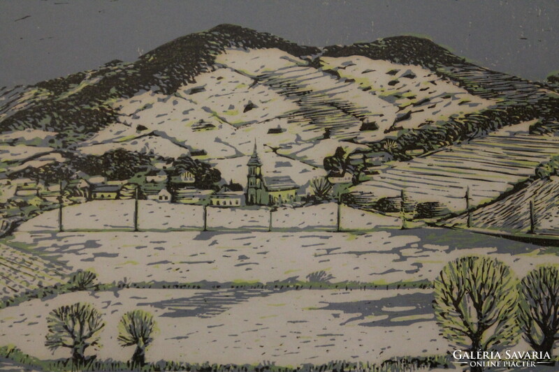 Csavlek András - Tél a Bakonyban