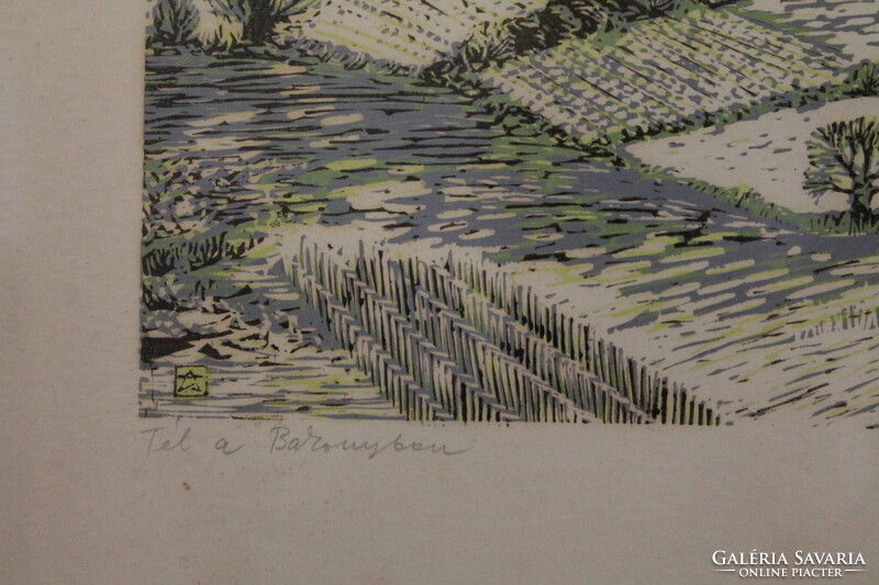 Csavlek András - Tél a Bakonyban