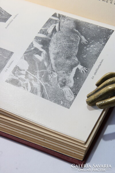 1927 - Gubányi Károly - Ausztrália A Magyar Földrajzi Társaság Könyvtára - Nagyon Szép !!