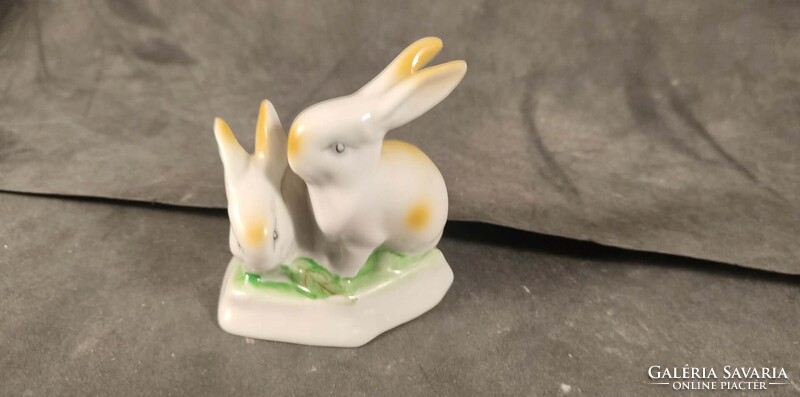 Hollóházi nyulak 631