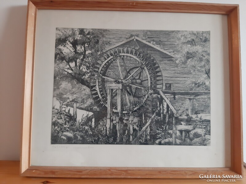 Rékassy Csaba- Göcseji vizimalom