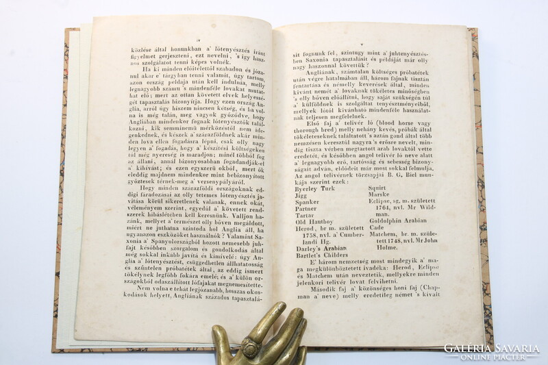 1832 - Gróf Nádasdy Tamás Országos méneskönyv Páratlan ritkaság A lótenyésztés lóversenyzés kezdete!