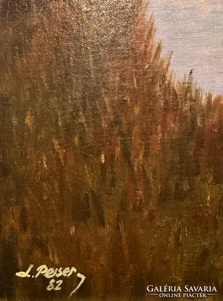 Peiser Leonárd - Esti bajkál