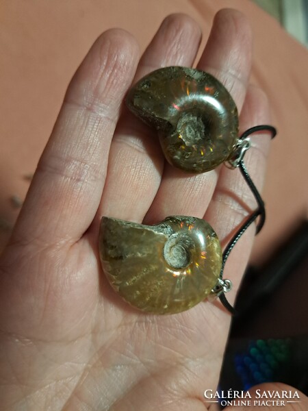 Kuriózum! Madagaszkári ammonitesz medálok