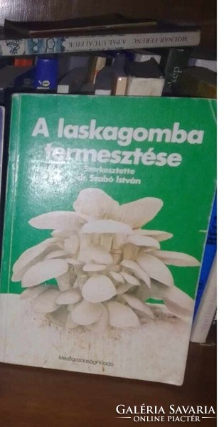 Dr. Szabó István.Laskagomba termesztése