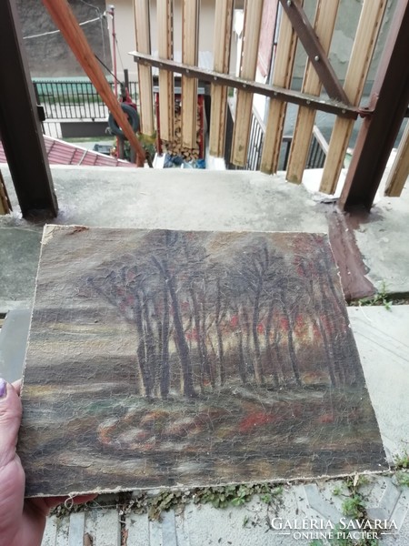 Régi erdei kép Feltöltés folyamatos!!hihetetlen aukciók és akciók ! folyamatos kínálat vegye -vigye