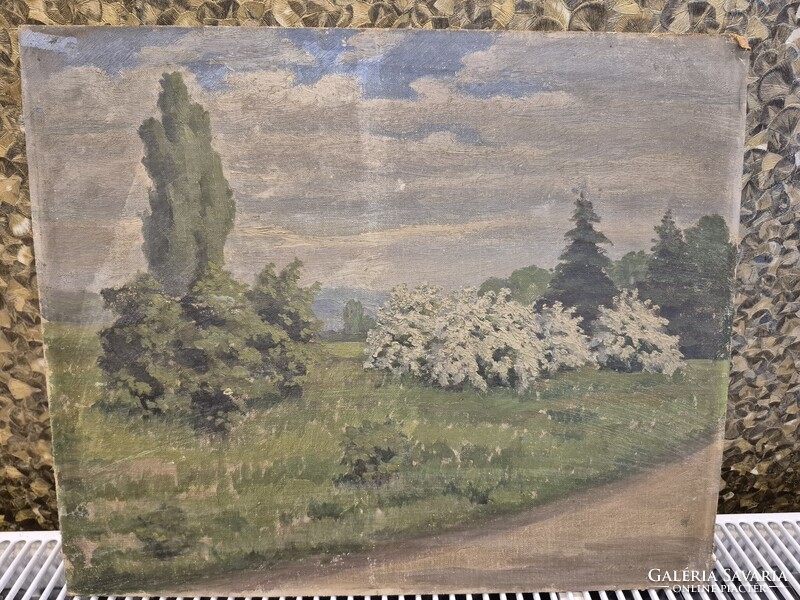 Csermely jános festőművész