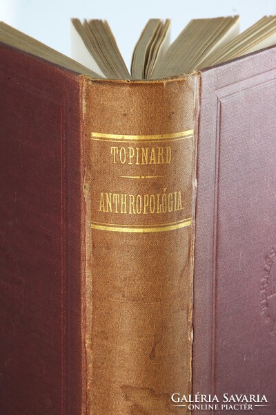 1881 - Topinard Az anthropológia kézi könyve Számos illusztrációval kiadói kötésben !!