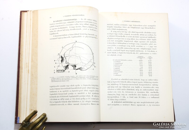 1881 - Topinard Az anthropológia kézi könyve Számos illusztrációval kiadói kötésben !!