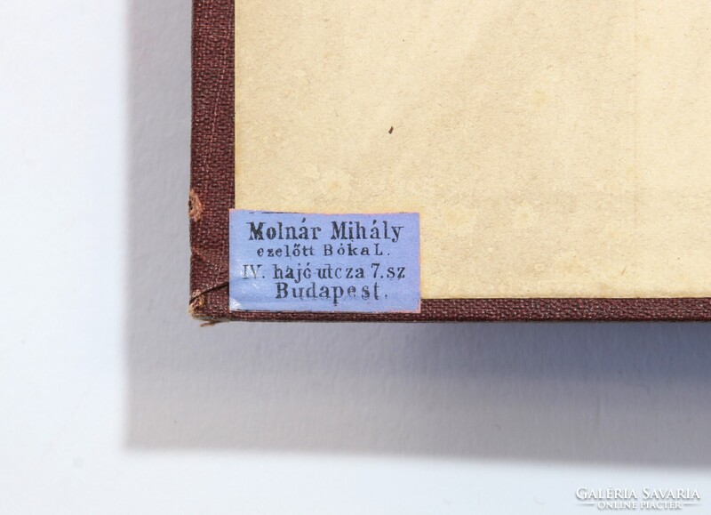 1881 - Topinard Az anthropológia kézi könyve Számos illusztrációval kiadói kötésben !!