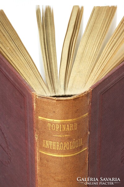 1881 - Topinard Az anthropológia kézi könyve Számos illusztrációval kiadói kötésben !!