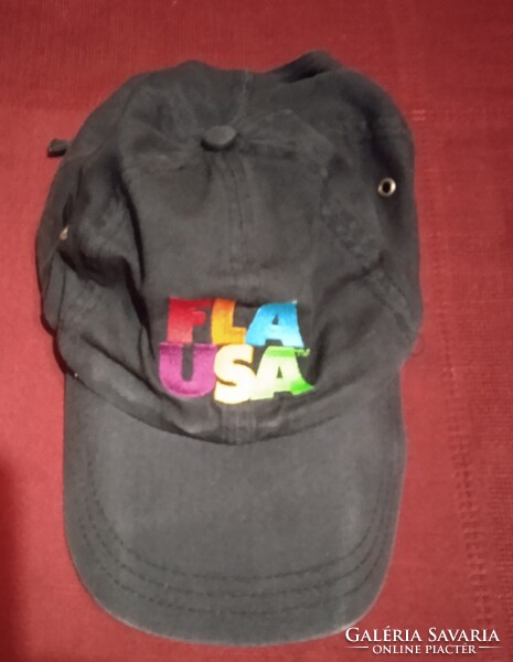 Florida Baseball hat from a conference