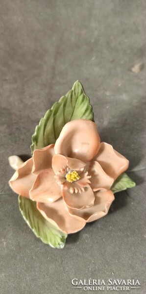 Herendi ritka virág 907