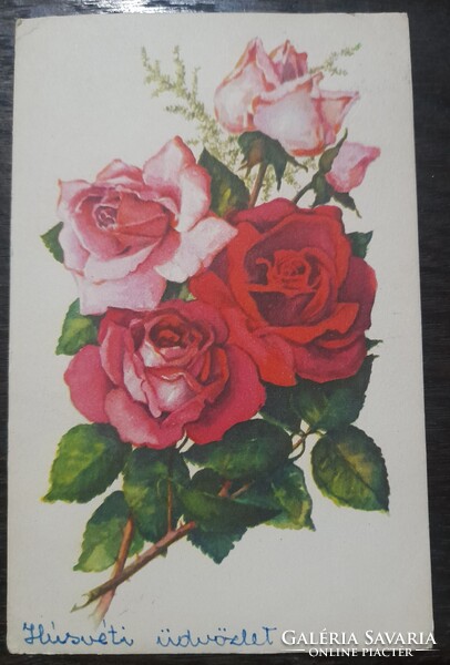 Grafikai képeslap rózsák-Rajz-Stremnitzer Konrádné - Gyűjtemény ...