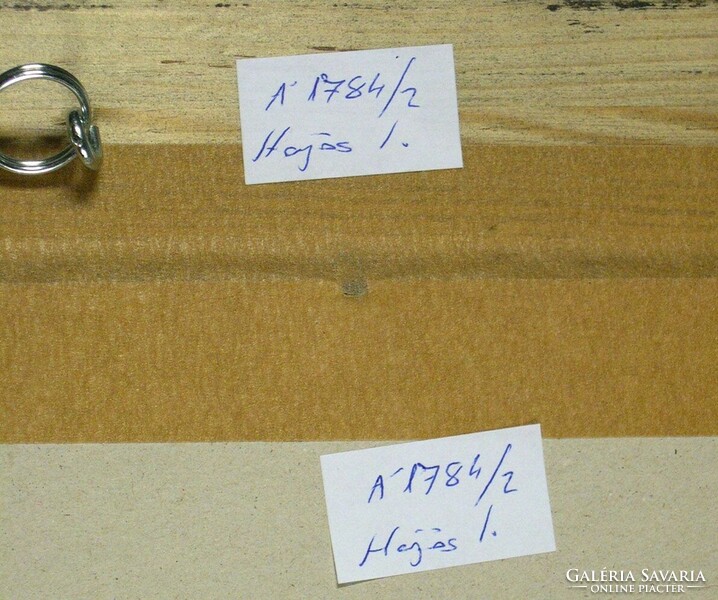Hajós Imre László : Almák és peoniák