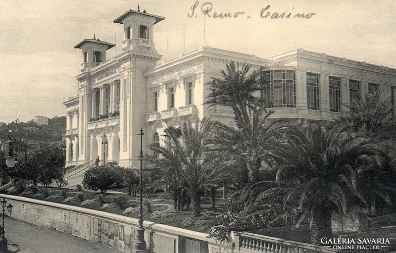 Képeslap: Olaszország, San Remo. Pálmafa.