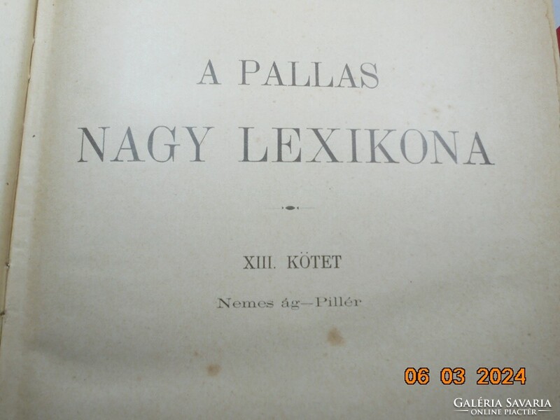 A Pallas Nagy Lexikona - XIII. kötet (Nemes ág-Pillér) 1896-os kiadás