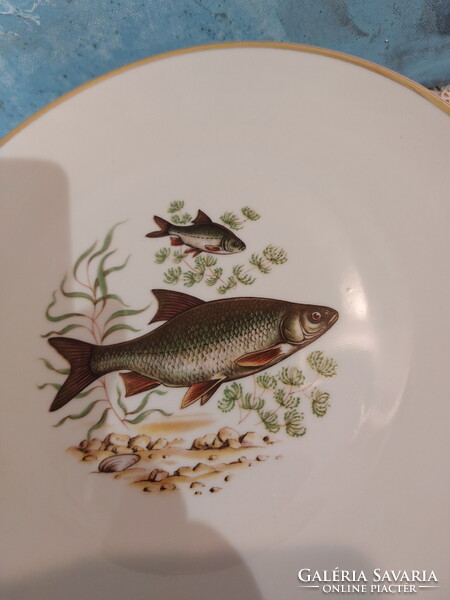 Bavaria, gyönyörű halas porcelán készlet, tányérok, tálak, hal horgászoknak, horgász