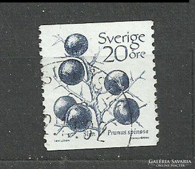 Svéd 20